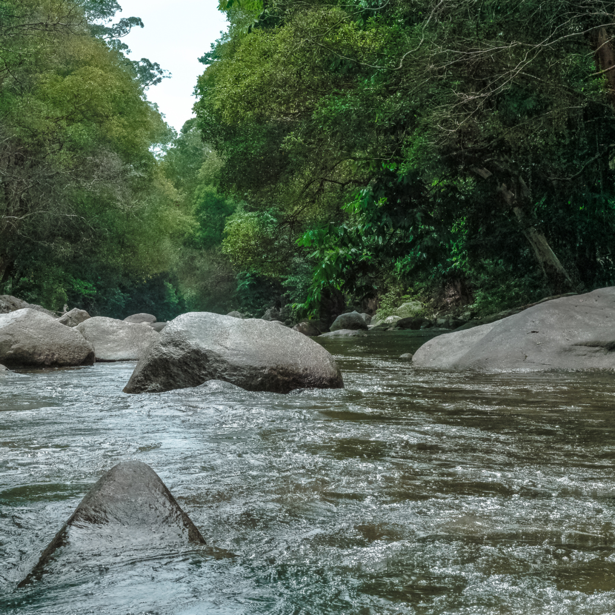 web (2160 × 1200px) (1900 × 1800px) (2160 × 1200px) (22)