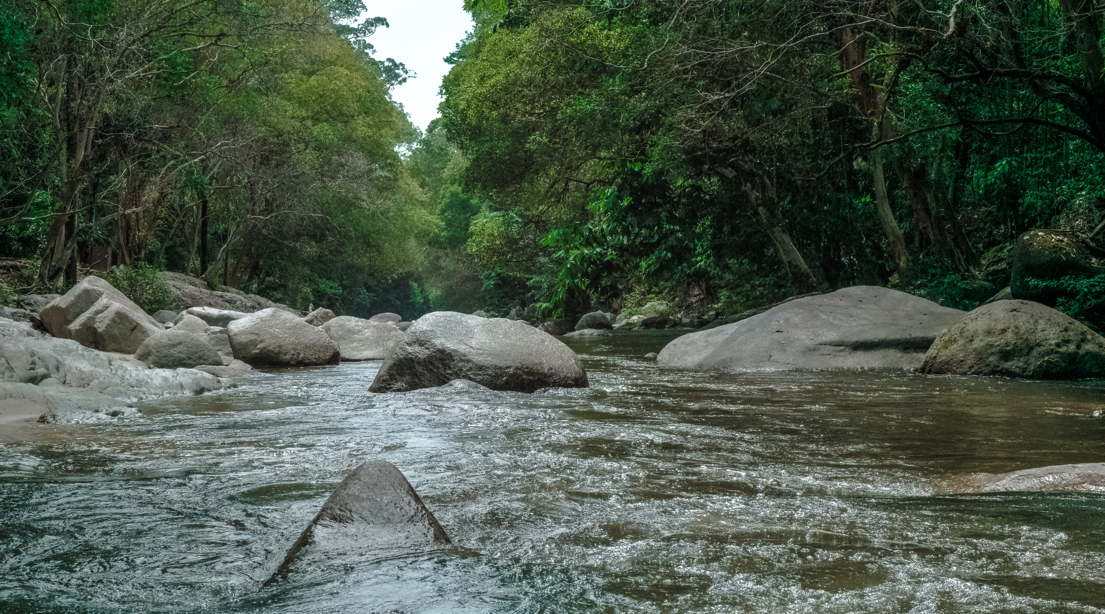 web (2160 × 1200px) (1900 × 1800px) (2160 × 1200px) (22)