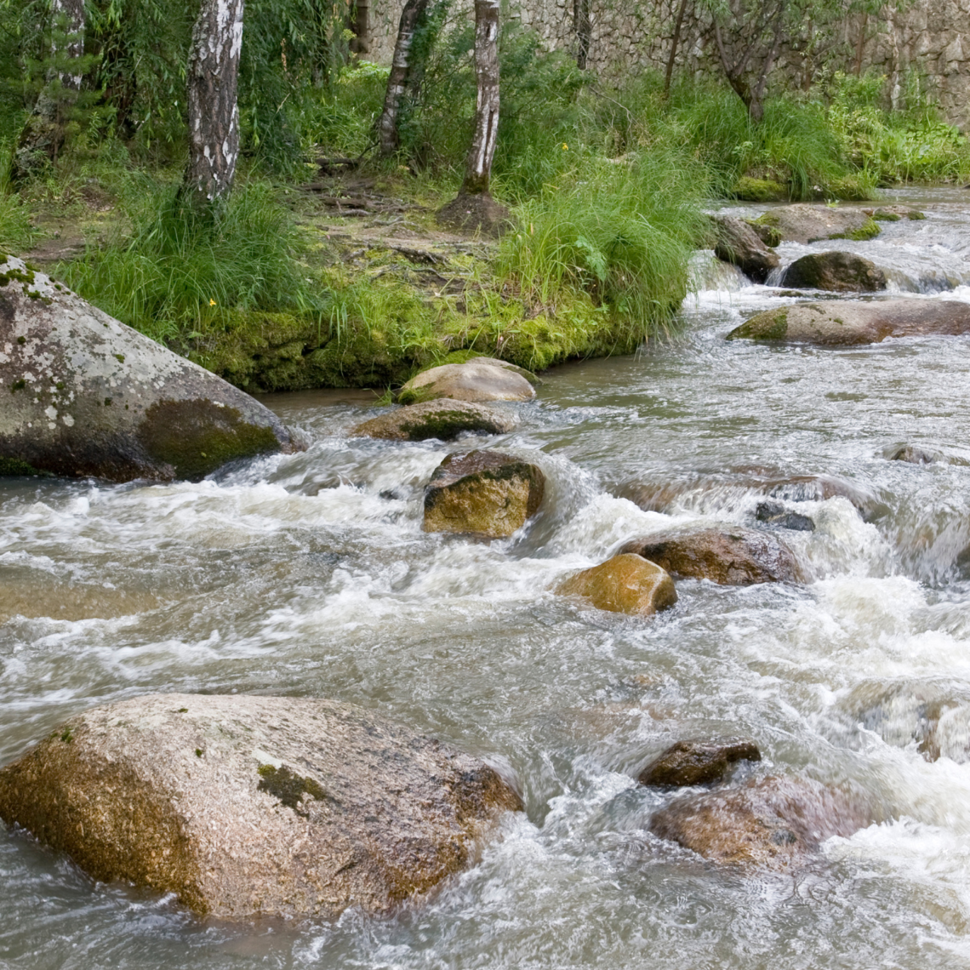 web (2160 × 1200px) (1900 × 1800px) (2160 × 1200px) (23)