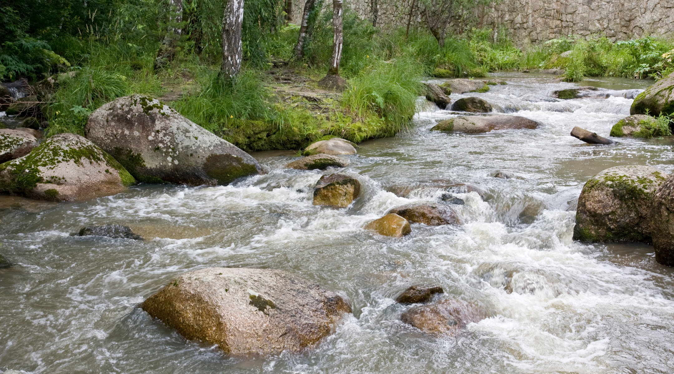 web (2160 × 1200px) (1900 × 1800px) (2160 × 1200px) (23)